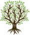 From Roots We Grow